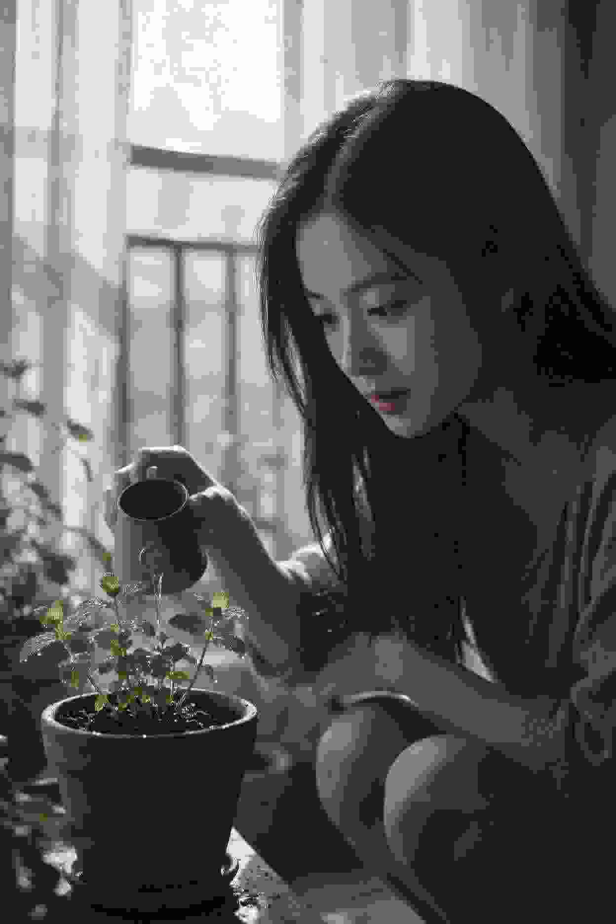 总裁的秘书